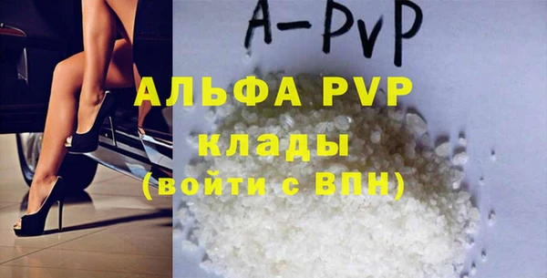шишки Арсеньев
