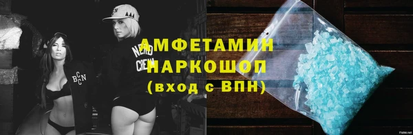шишки Арсеньев