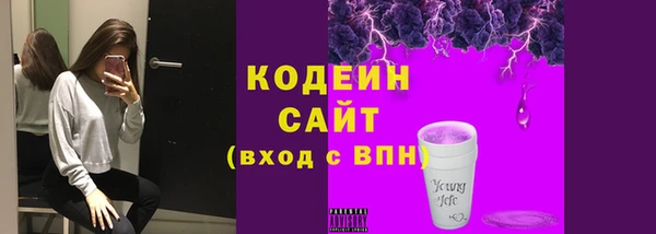 шишки Арсеньев