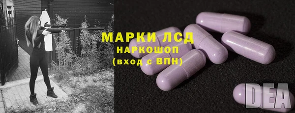 шишки Арсеньев